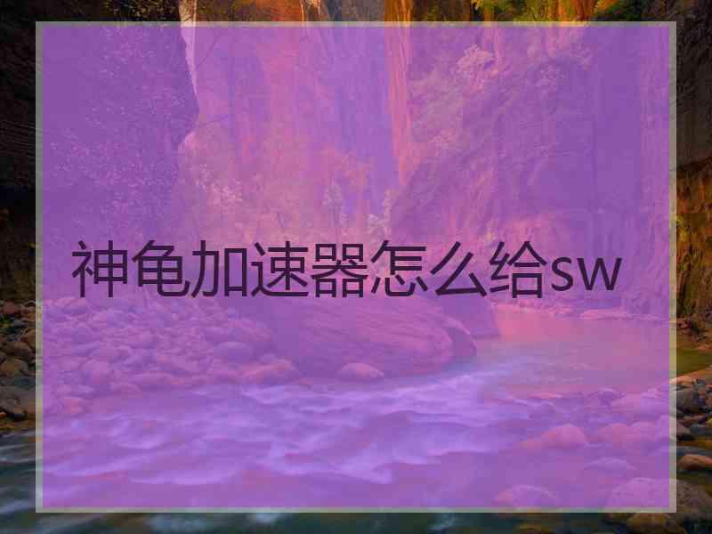 神龟加速器怎么给sw