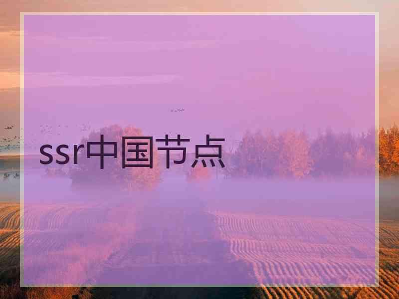 ssr中国节点