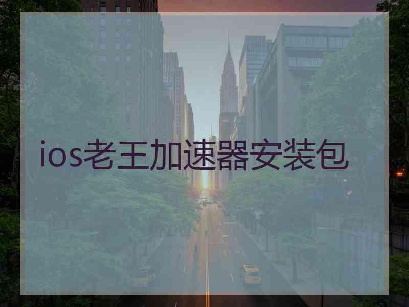 ios老王加速器安装包