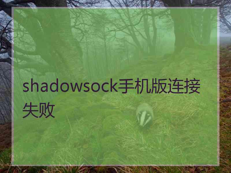 shadowsock手机版连接失败