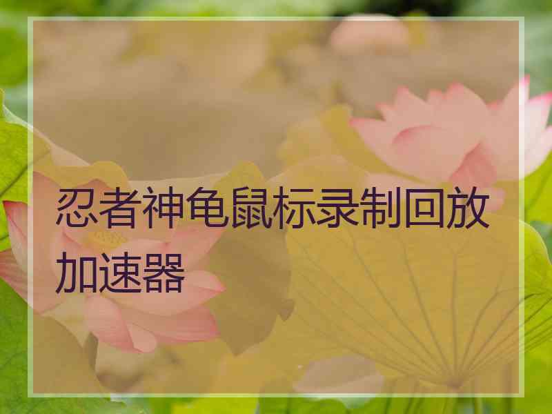 忍者神龟鼠标录制回放加速器