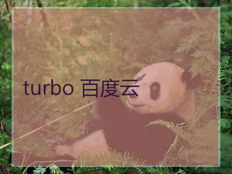 turbo 百度云