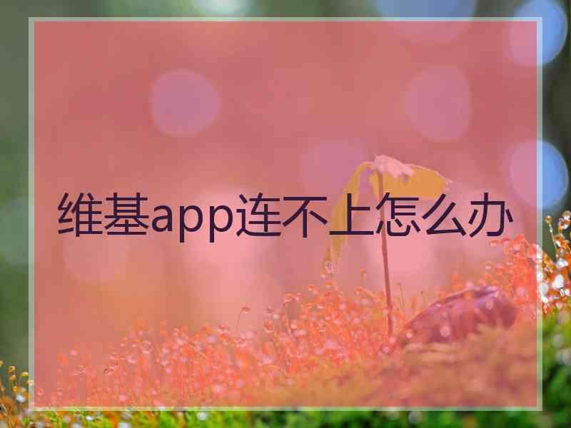 维基app连不上怎么办