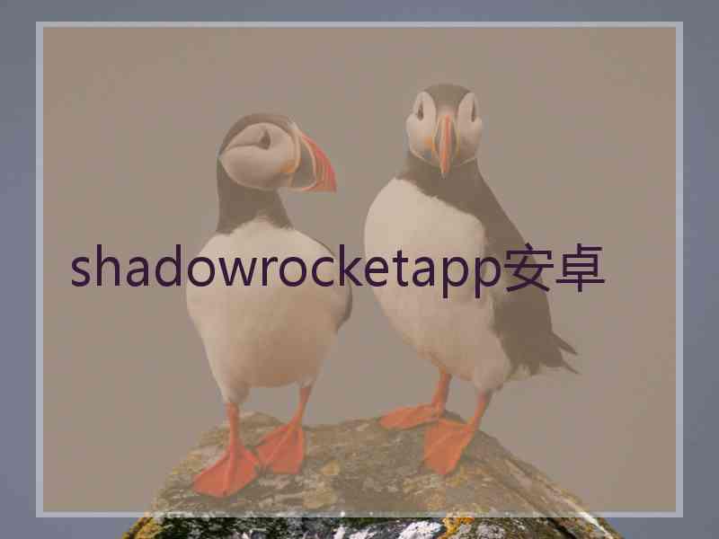 shadowrocketapp安卓