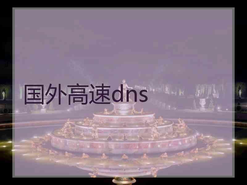 国外高速dns