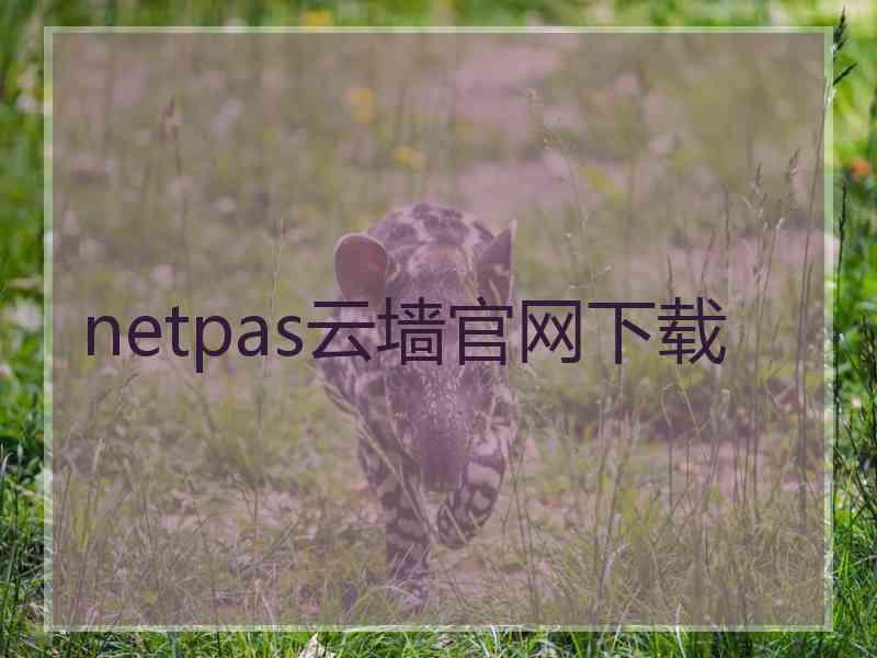 netpas云墙官网下载