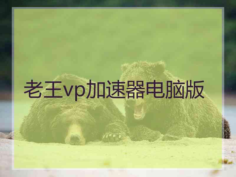 老王vp加速器电脑版