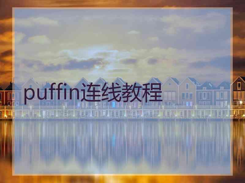 puffin连线教程