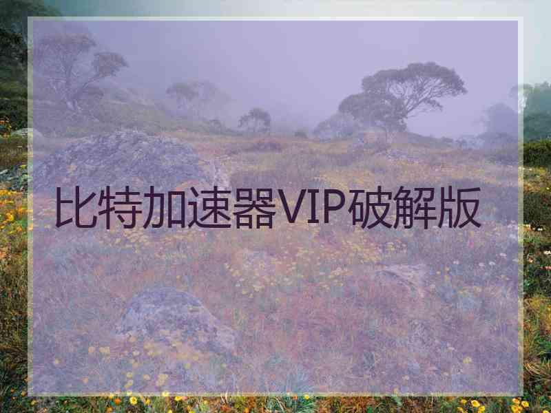 比特加速器VIP破解版