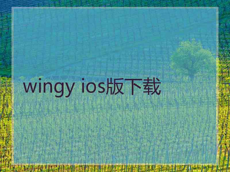 wingy ios版下载