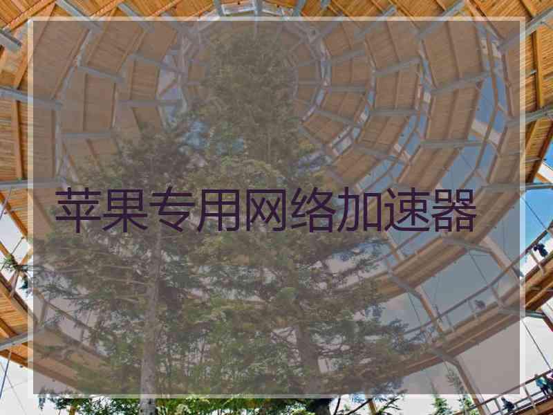 苹果专用网络加速器