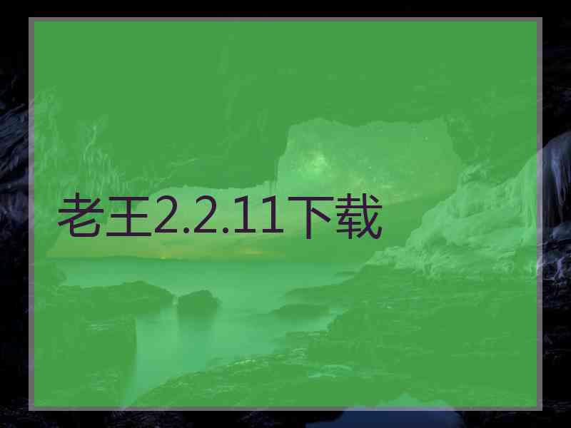 老王2.2.11下载