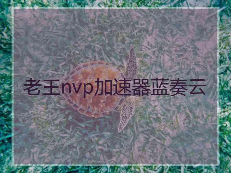 老王nvp加速器蓝奏云