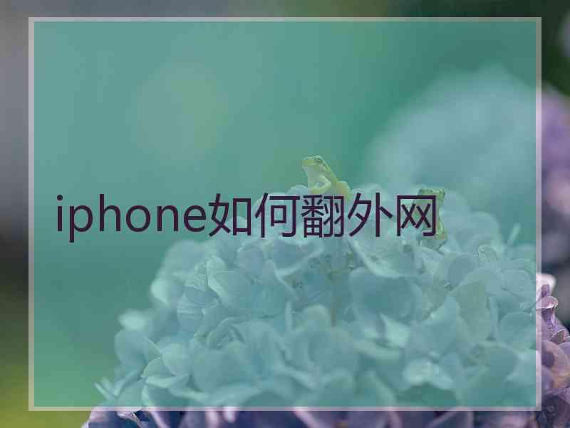 iphone如何翻外网