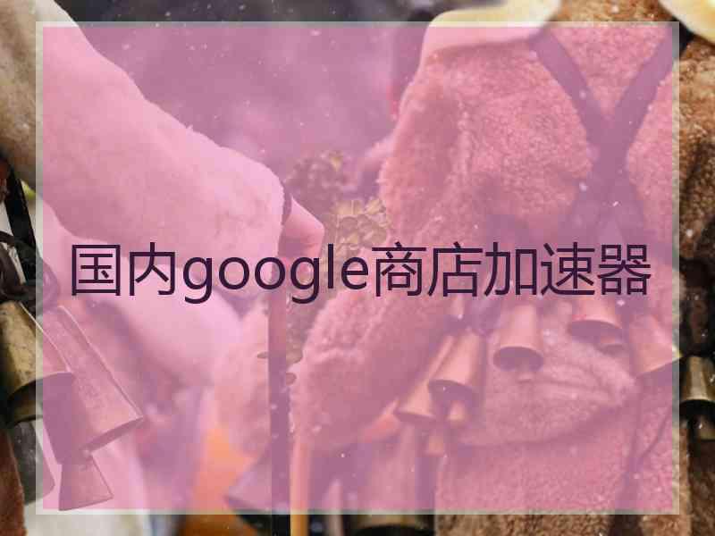 国内google商店加速器