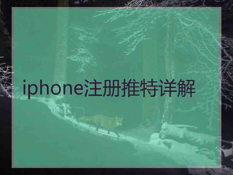 iphone注册推特详解