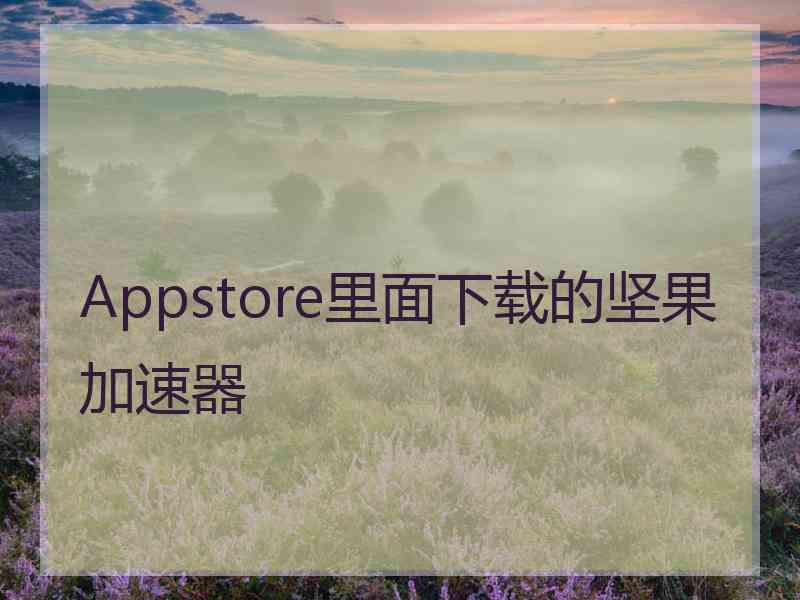 Appstore里面下载的坚果加速器