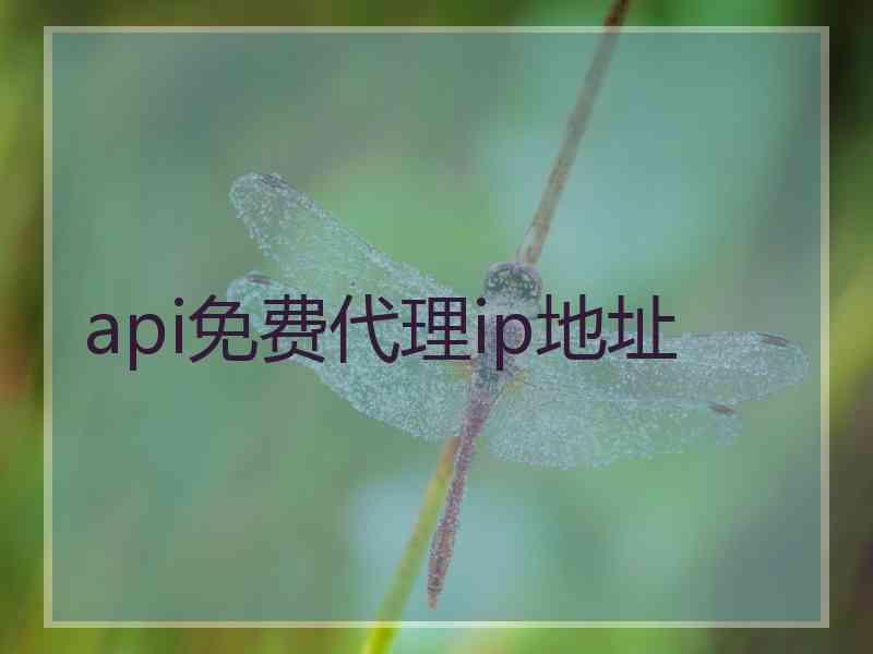 api免费代理ip地址