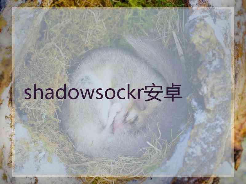 shadowsockr安卓