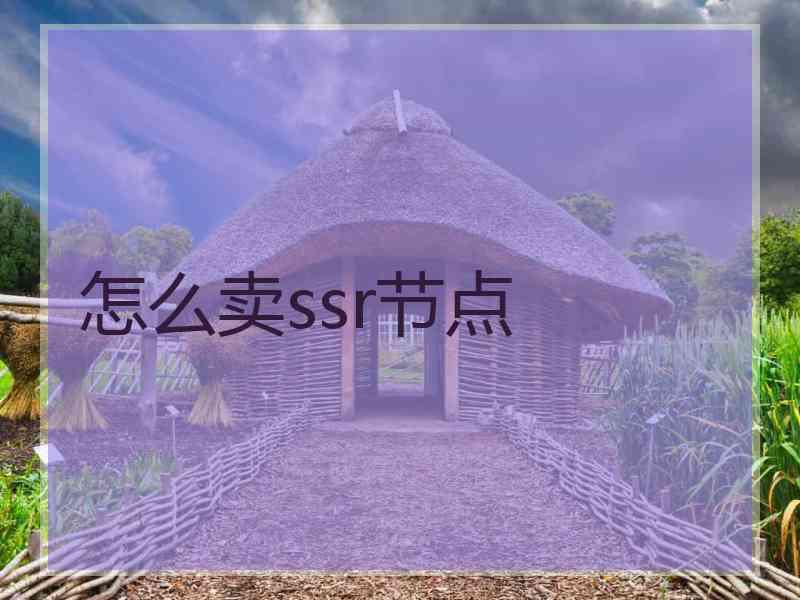 怎么卖ssr节点