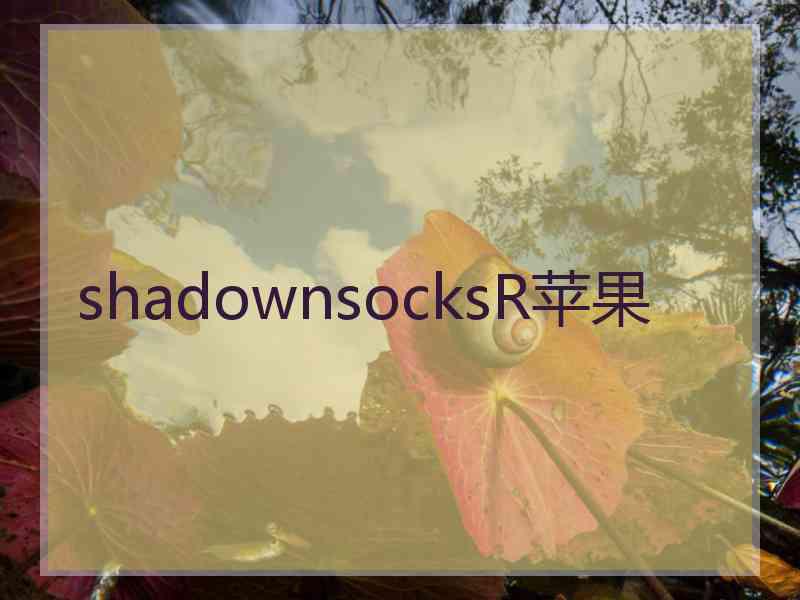 shadownsocksR苹果