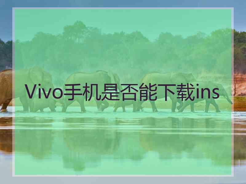 Vivo手机是否能下载ins