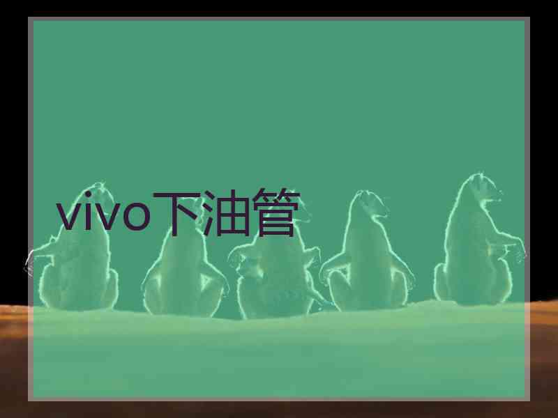 vivo下油管