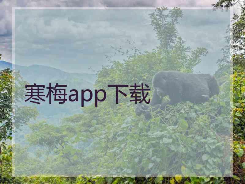 寒梅app下载