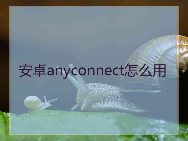 安卓anyconnect怎么用