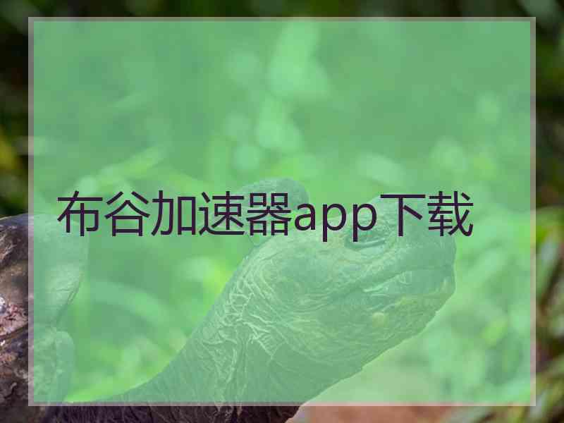 布谷加速器app下载