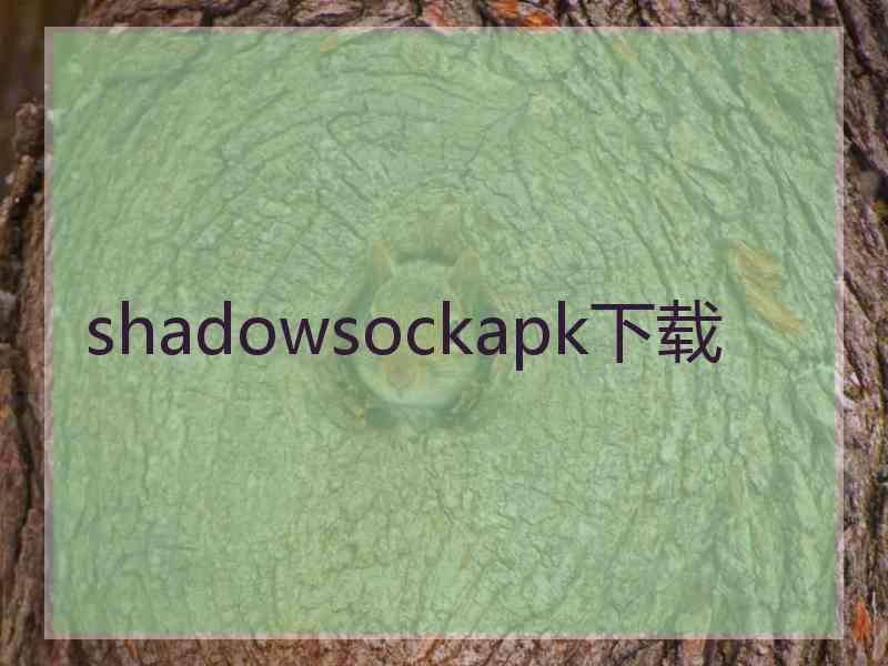 shadowsockapk下载