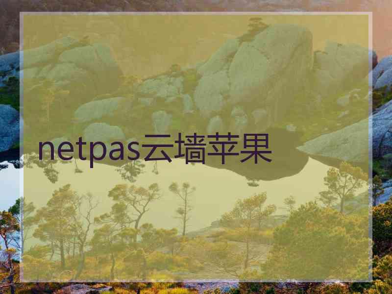 netpas云墙苹果