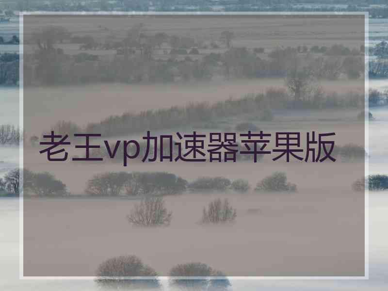 老王vp加速器苹果版