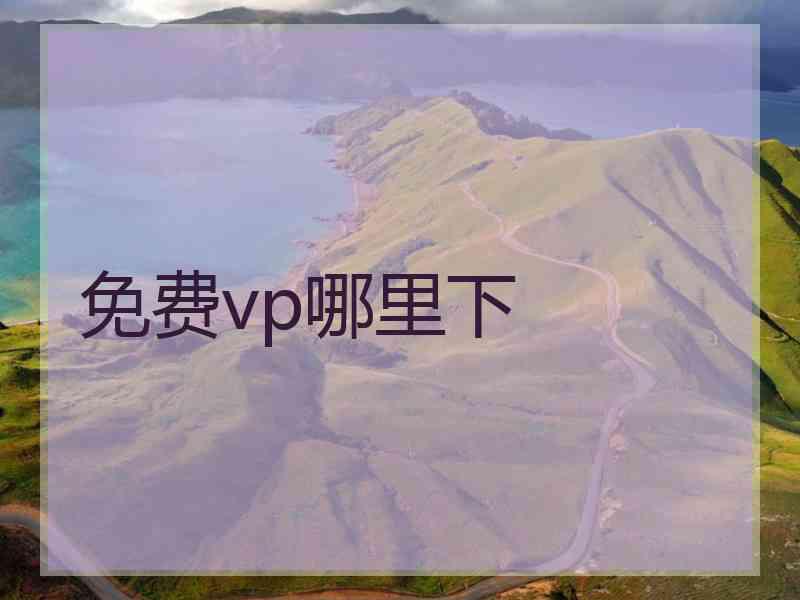 免费vp哪里下