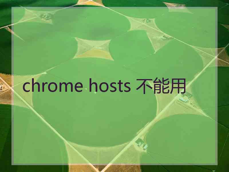 chrome hosts 不能用