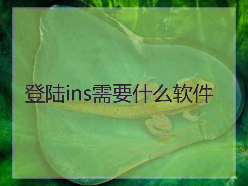 登陆ins需要什么软件