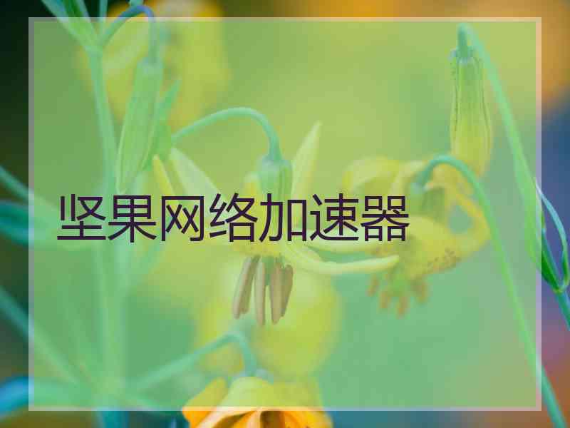 坚果网络加速器