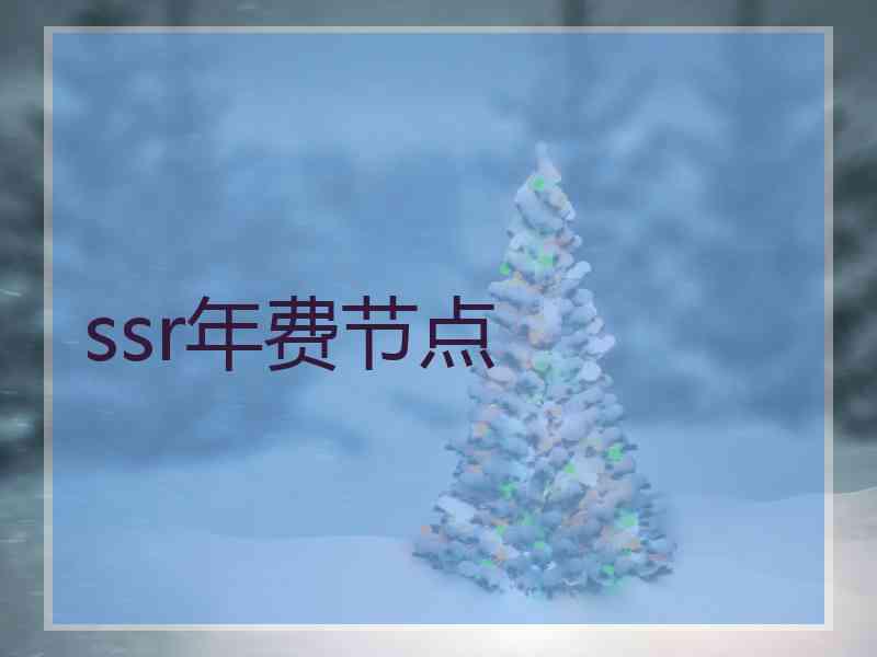 ssr年费节点