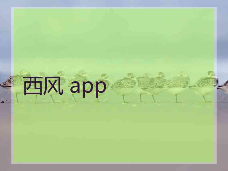 西风 app