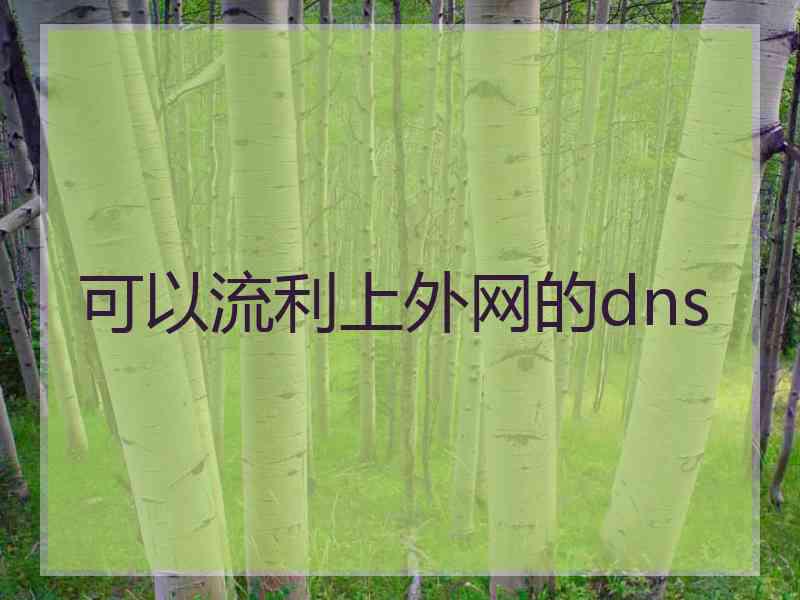 可以流利上外网的dns