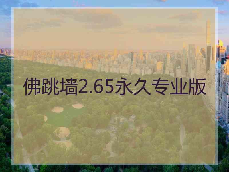 佛跳墙2.65永久专业版