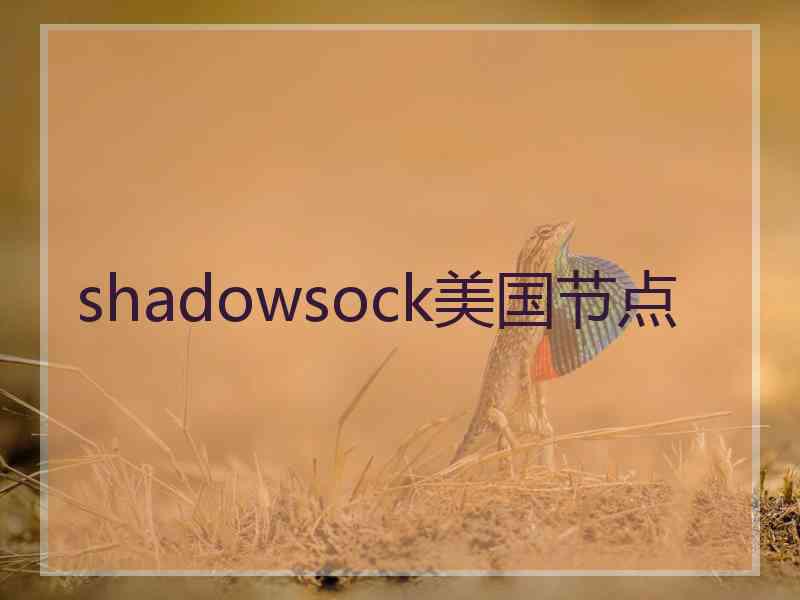 shadowsock美国节点