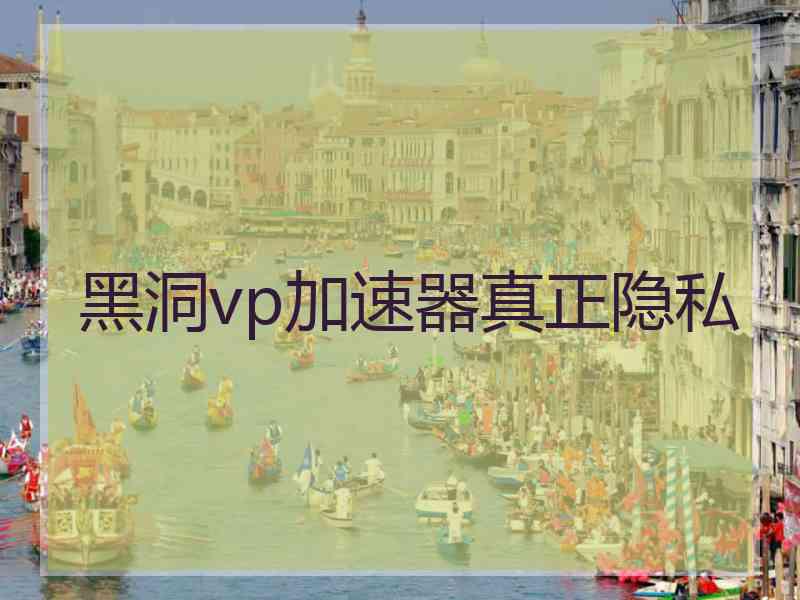 黑洞vp加速器真正隐私