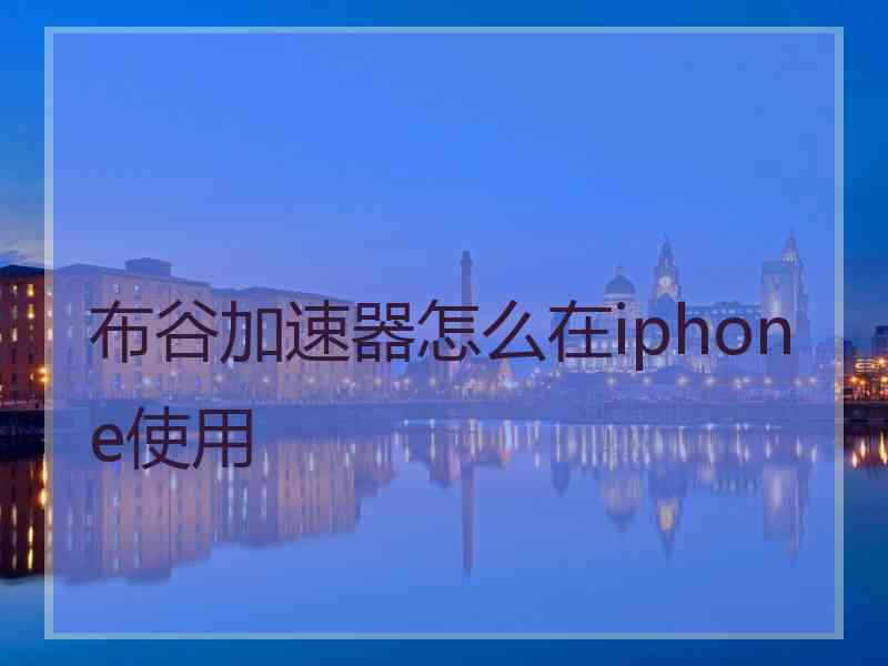 布谷加速器怎么在iphone使用