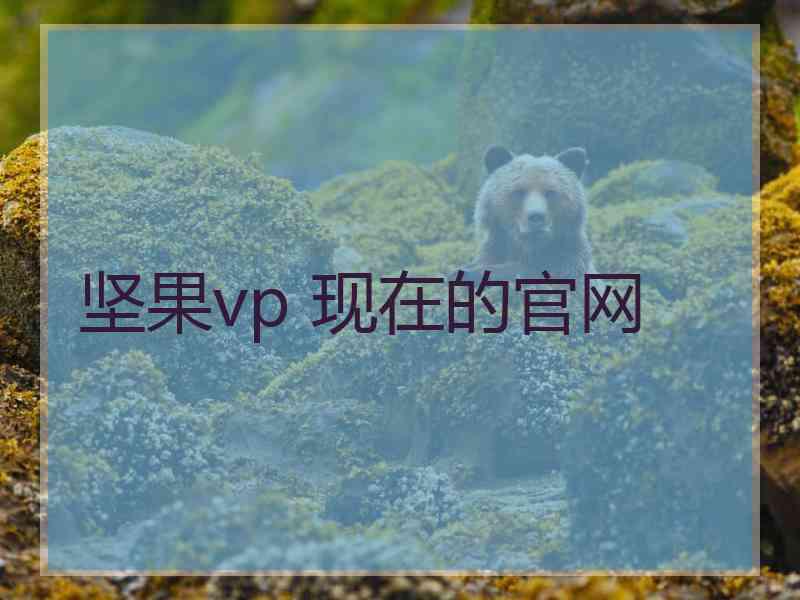 坚果vp 现在的官网