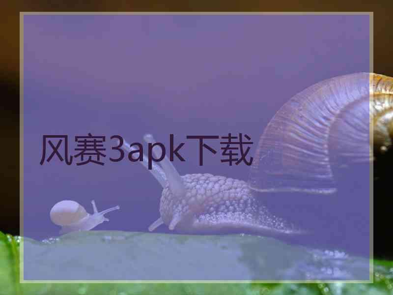 风赛3apk下载