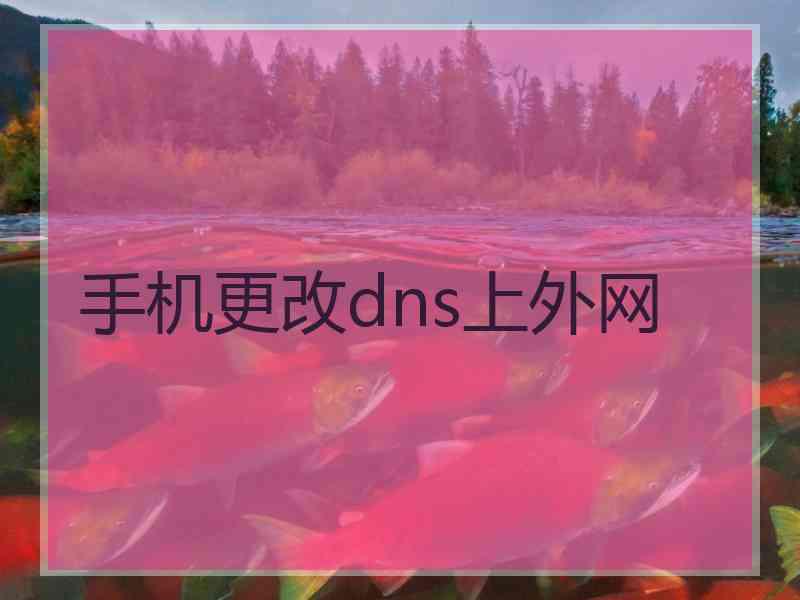 手机更改dns上外网