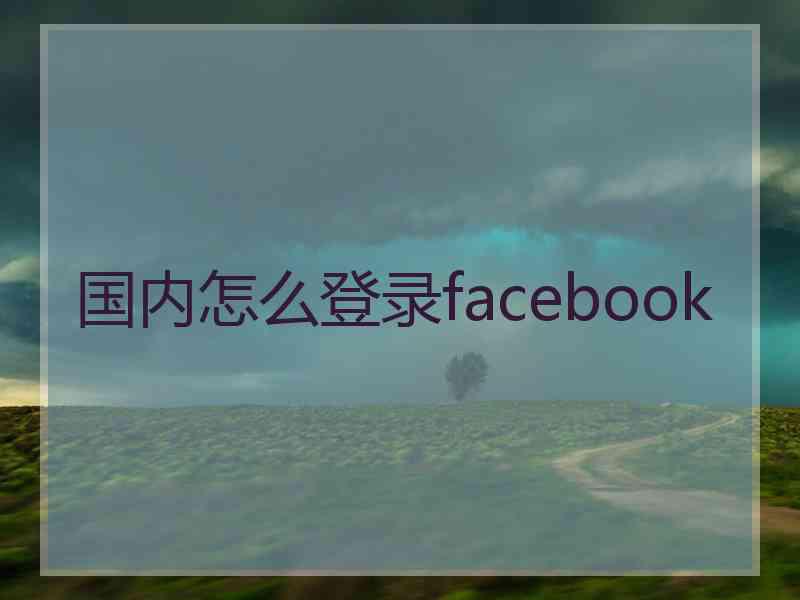 国内怎么登录facebook