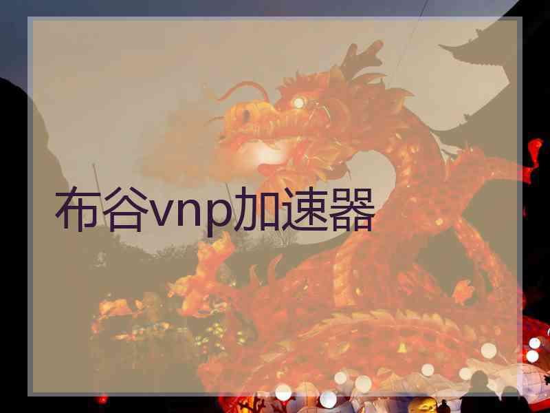 布谷vnp加速器