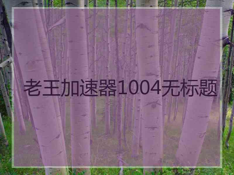 老王加速器1004无标题